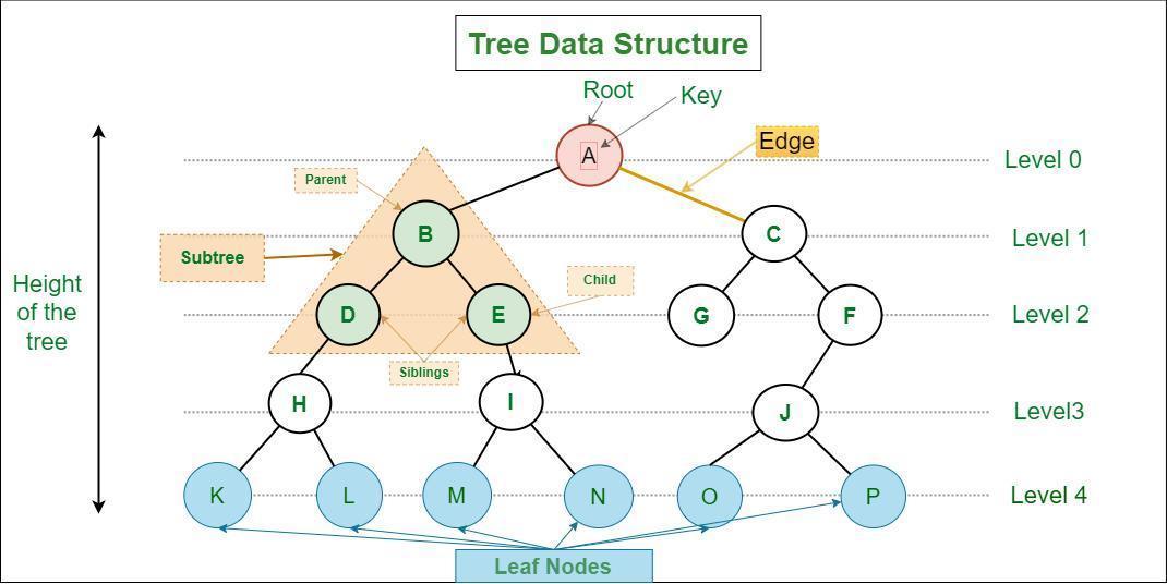 DataStructure-Tutorial