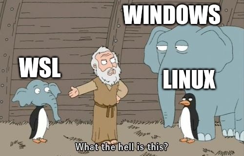 WSL Proxy